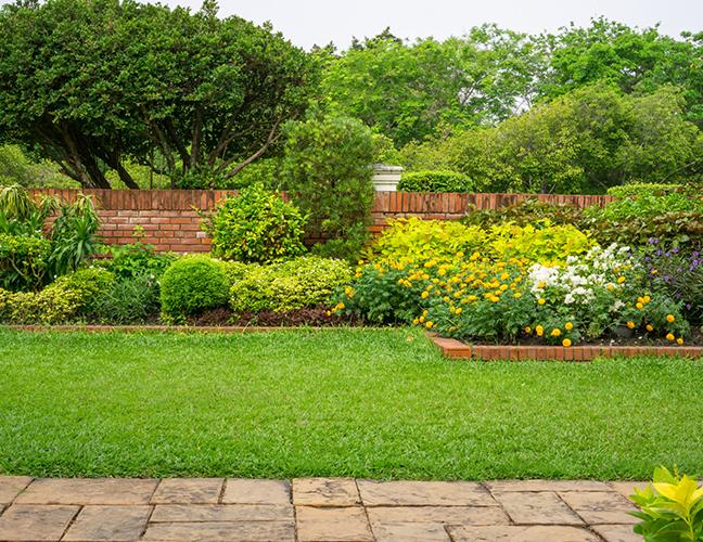 entretien de jardin