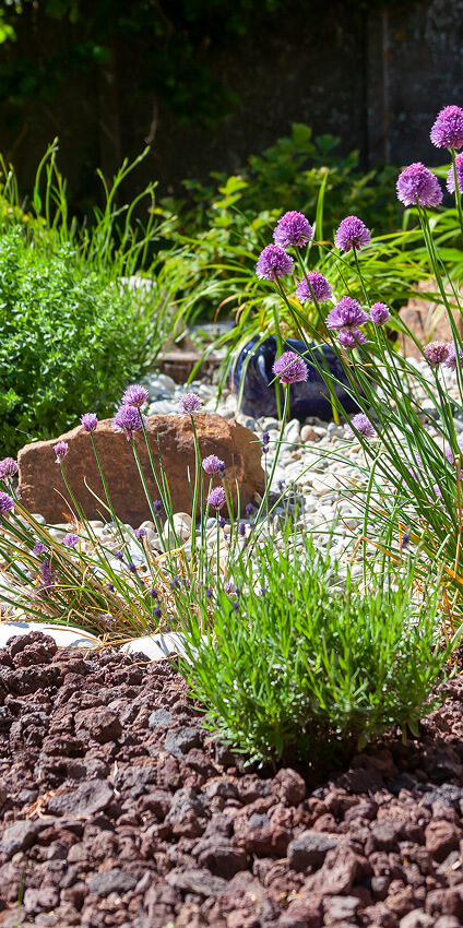  création de jardin